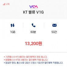 (KT 밸류컴) 밸류 V1G